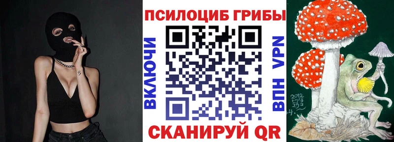 где найти   Ижевск  Псилоцибиновые грибы GOLDEN TEACHER 